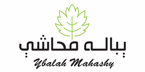 Ybalah Mahashy